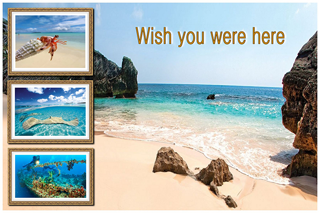 Travel postcard with a picture collage