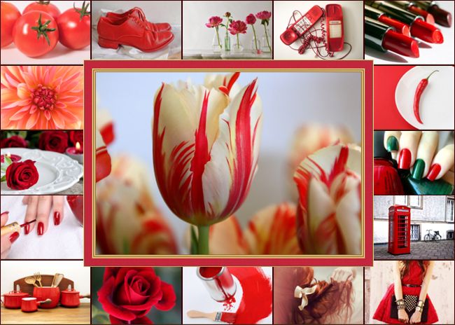 red photo grid collage